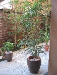 143_4329.jpg