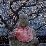 R0013637.JPG
